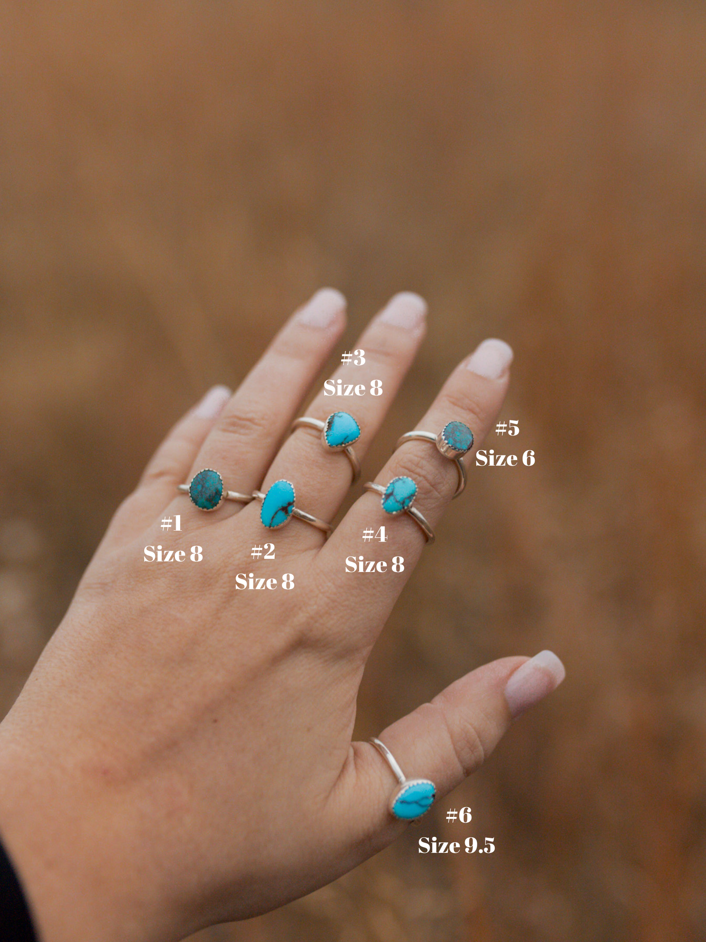 The Willow Rings