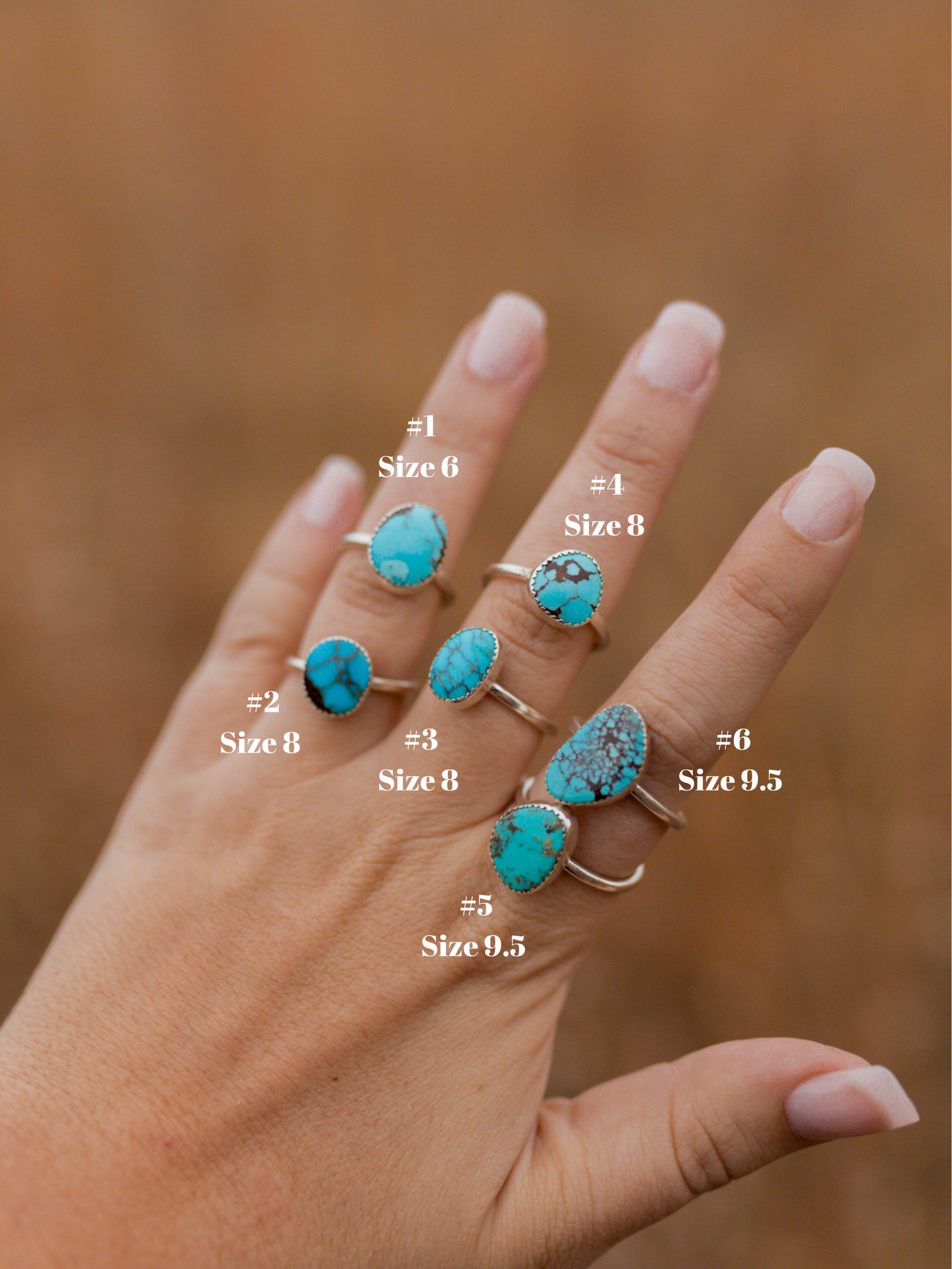 The Willow Rings - 2