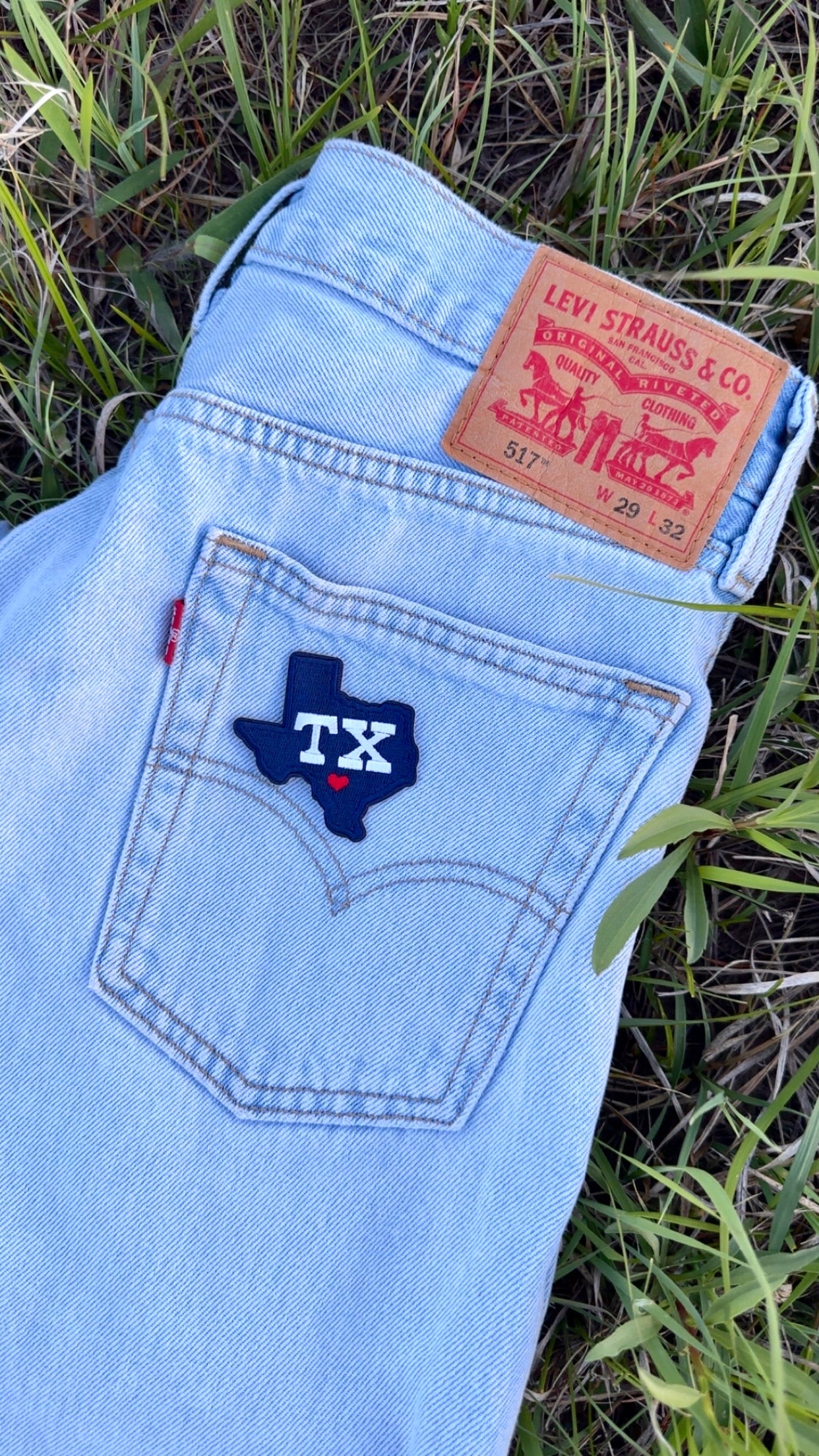 Texas Iron On Patch